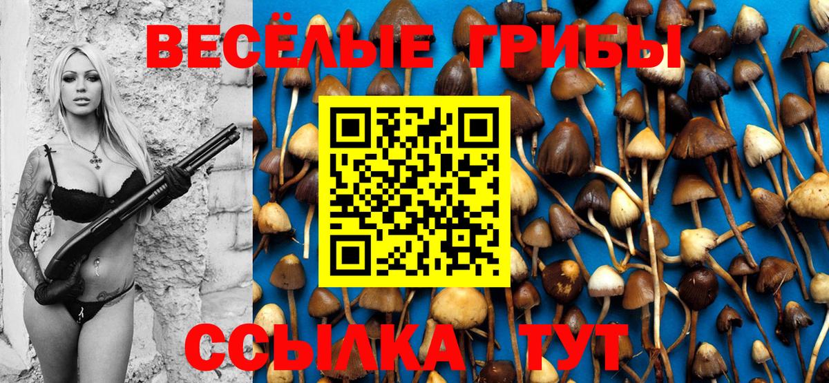Куйбышев  Псилоцибиновые грибы Psilocybe  Вход с VPN 