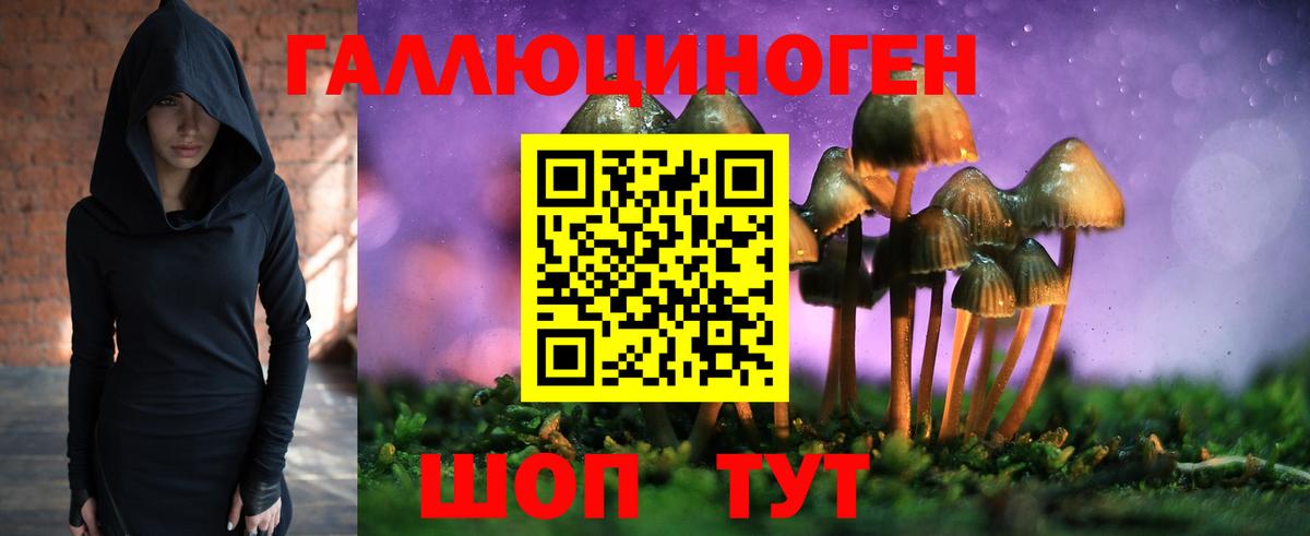 Галлюциногенные грибы ЛСД Куйбышев